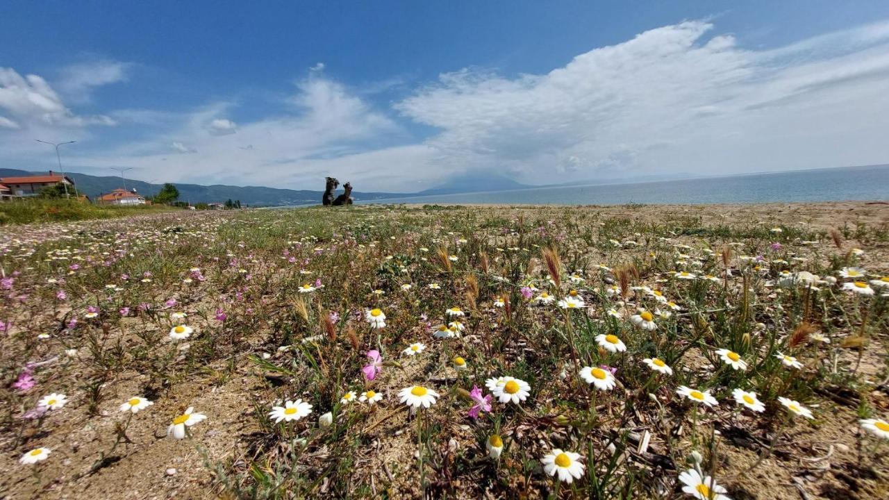Villa Sevi Nea Vrasna Luaran gambar